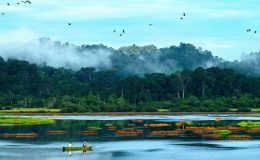 Du lịch 2 ngày 1 đêm - Nam Cát Tiên