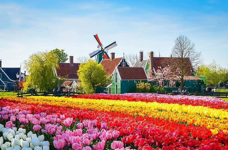 cong-vien-Keukenhof-ha-lan