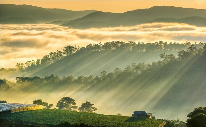 Đồi Du Sinh thật hùng vĩ 