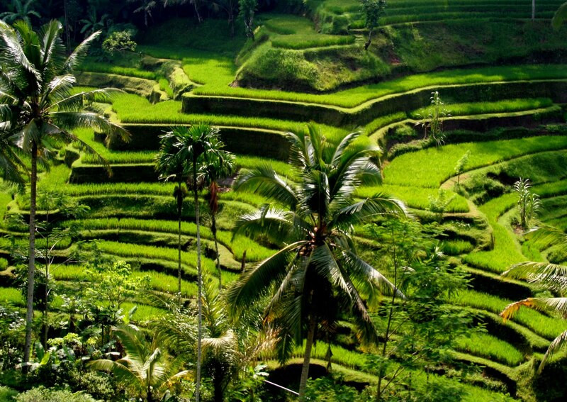 Làng Ubud