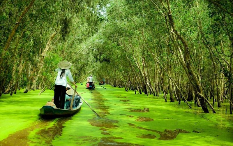 Vẻ đẹp kiều diễm của “nàng thơ” - rừng Tràm Trà Sư