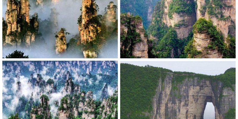 Trương Gia Giới -