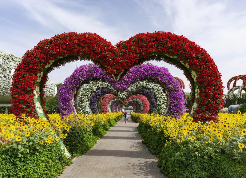 Miracle Garden