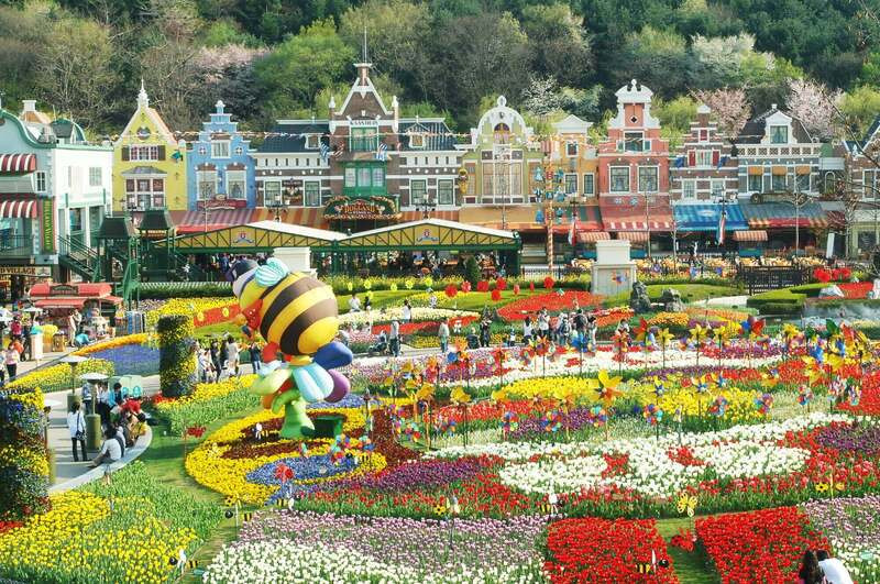  Ngắm hoa hồng tại công viên Everland