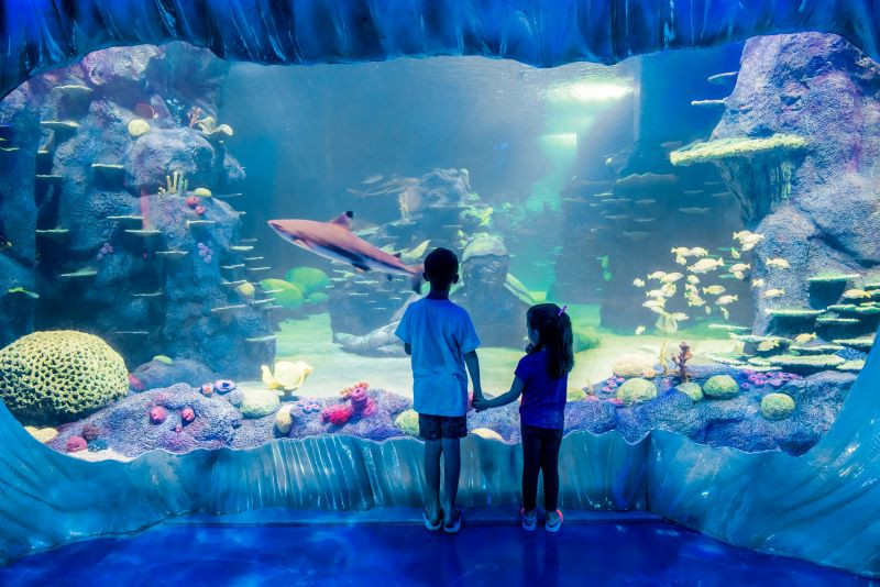 Sealife Aquarium