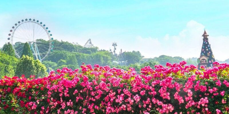 Vườn hoa hồng thơ mộng