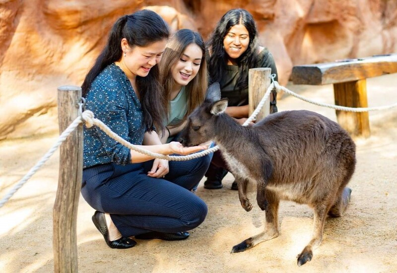 Sydney Wildlife Zoo