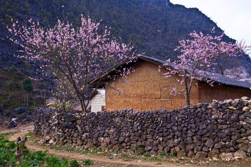 Phố Cáo - Hà Giang