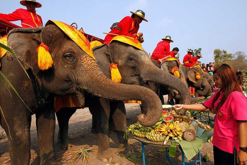 Lễ hội voi Surin