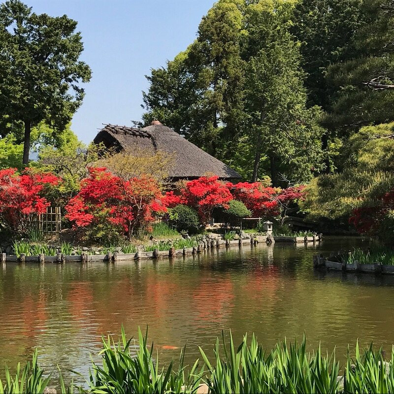 Umenomiya Taisha 