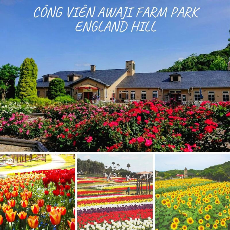 Trăm hoa đua nở tại Công viên Awaji Farm Park England Hill