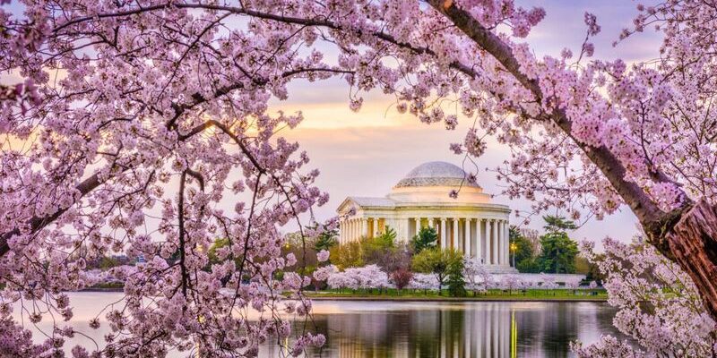 Mùa xuân ở Mỹ