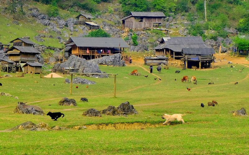 Hang Táu yên bình