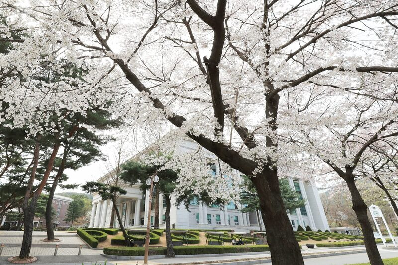 Trường đại học Yonsei